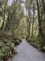 Fiordland ( &ndash; &copy; Francisco Javier Burgos Gutierrez (Eberhardt TRAVEL)