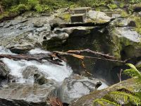 Fiordland  &ndash; &copy; Francisco Javier Burgos Gutierrez (Eberhardt TRAVEL)