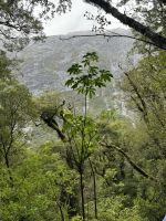 Fiordland  &ndash; &copy; Francisco Javier Burgos Gutierrez (Eberhardt TRAVEL)