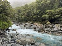 Monkey Creek  &ndash; &copy; Francisco Javier Burgos Gutierrez (Eberhardt TRAVEL)