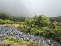 Monkey Creek  &ndash; &copy; Francisco Javier Burgos Gutierrez (Eberhardt TRAVEL)