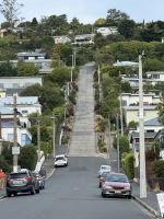 Dunedin  &ndash; &copy; Francisco Javier Burgos Gutierrez (Eberhardt TRAVEL)