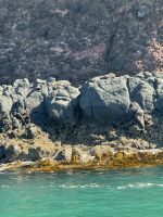 Otago-Halbinsel  &ndash; &copy; Francisco Javier Burgos Gutierrez (Eberhardt TRAVEL)