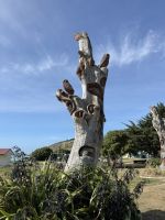 Oamaru &ndash; &copy; Francisco Javier Burgos Gutierrez (Eberhardt TRAVEL)