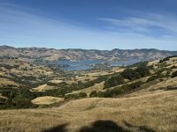 Banks Peninsula &ndash; &copy; Francisco Javier Burgos Gutierrez (Eberhardt TRAVEL)