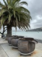 Akaroa  &ndash; &copy; Francisco Javier Burgos Gutierrez (Eberhardt TRAVEL)