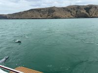 Bootsfahrt  &ndash; &copy; Francisco Javier Burgos Gutierrez (Eberhardt TRAVEL)
