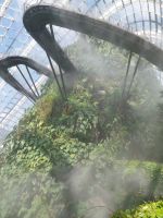Cloud Forest 2, Singapur &ndash; &copy; Julian Bartsch (Eberhardt TRAVEL)