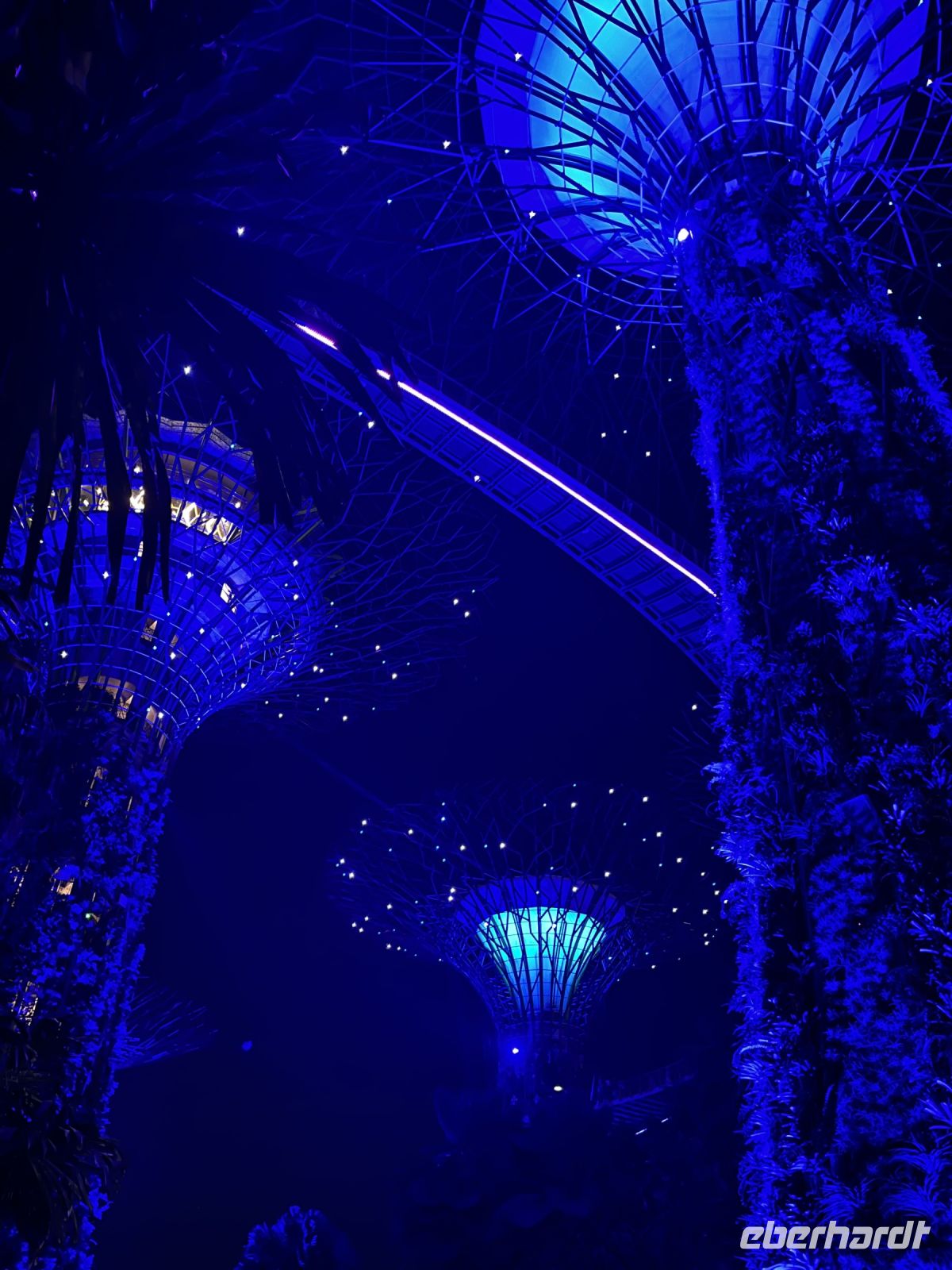 Supertrees &ndash; &copy; Valentin Meyer-Plath (Eberhardt TRAVEL)
