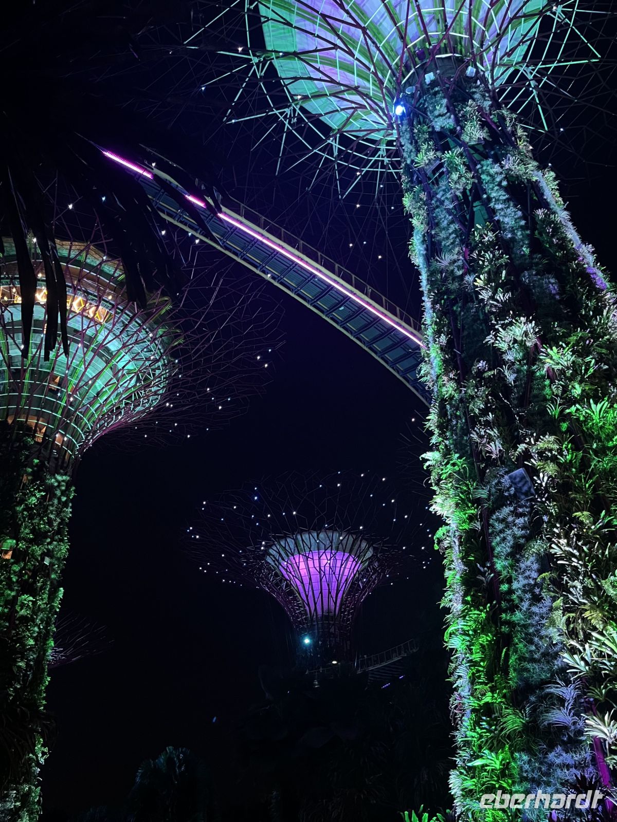 Lichtershow bei den Supertrees &ndash; &copy; Valentin Meyer-Plath (Eberhardt TRAVEL)