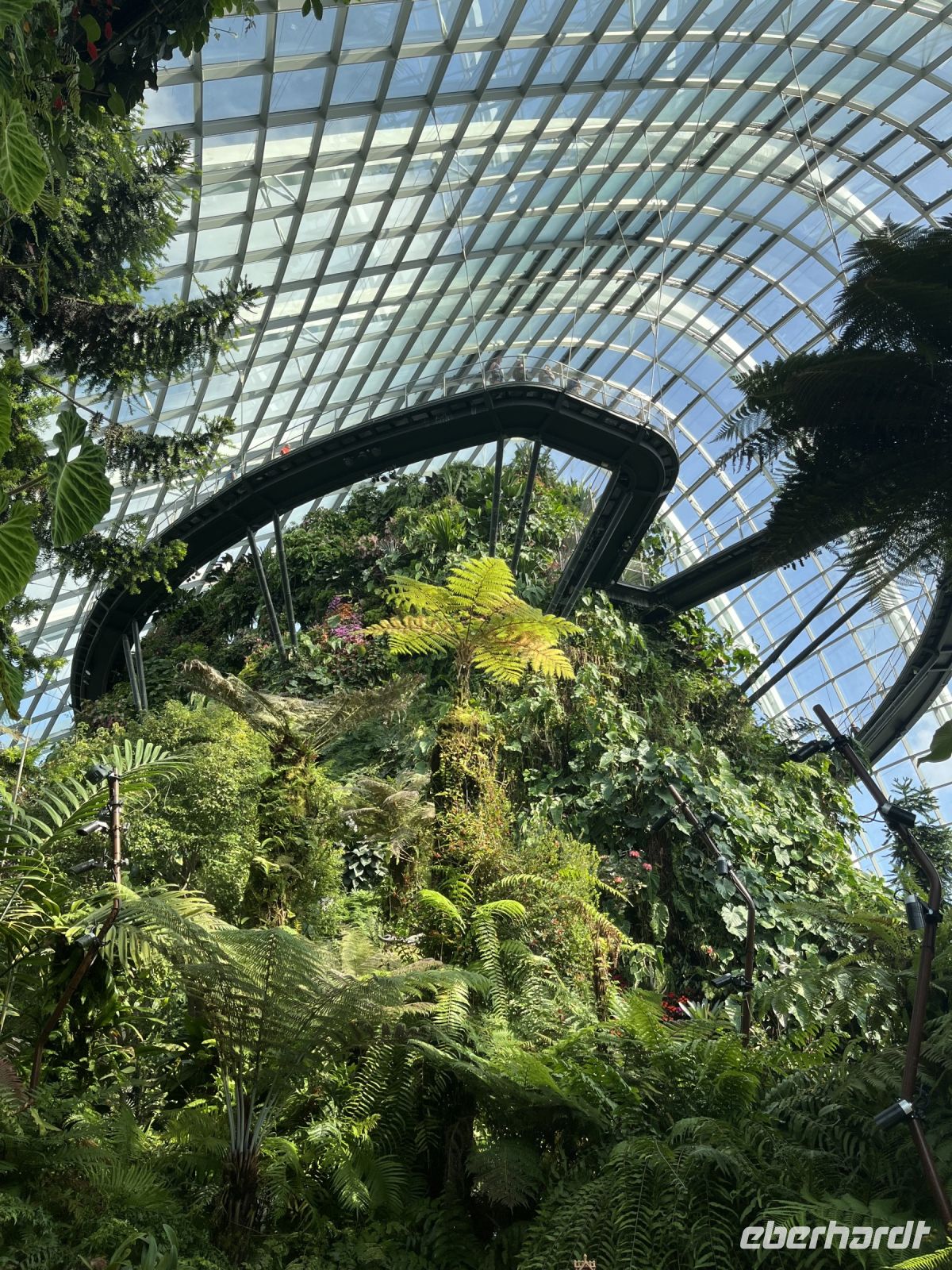 Cloud Forest &ndash; &copy; Valentin Meyer-Plath (Eberhardt TRAVEL)
