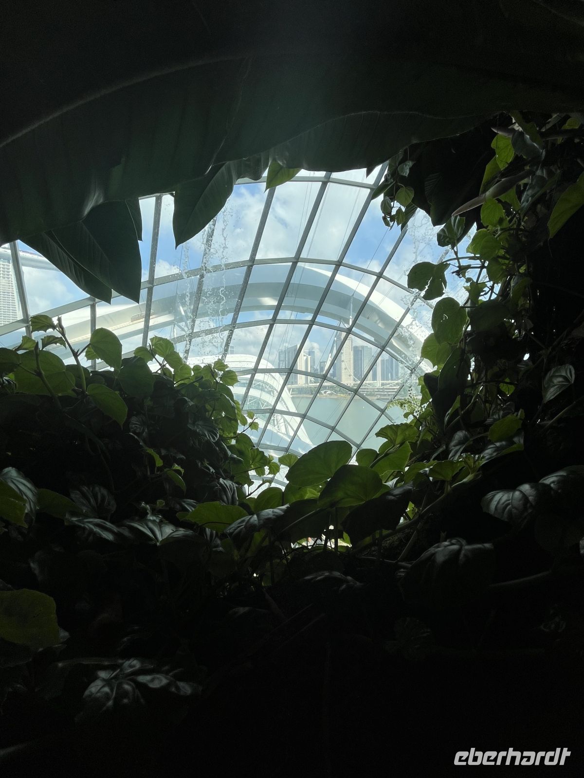 Cloud Forest &ndash; &copy; Valentin Meyer-Plath (Eberhardt TRAVEL)
