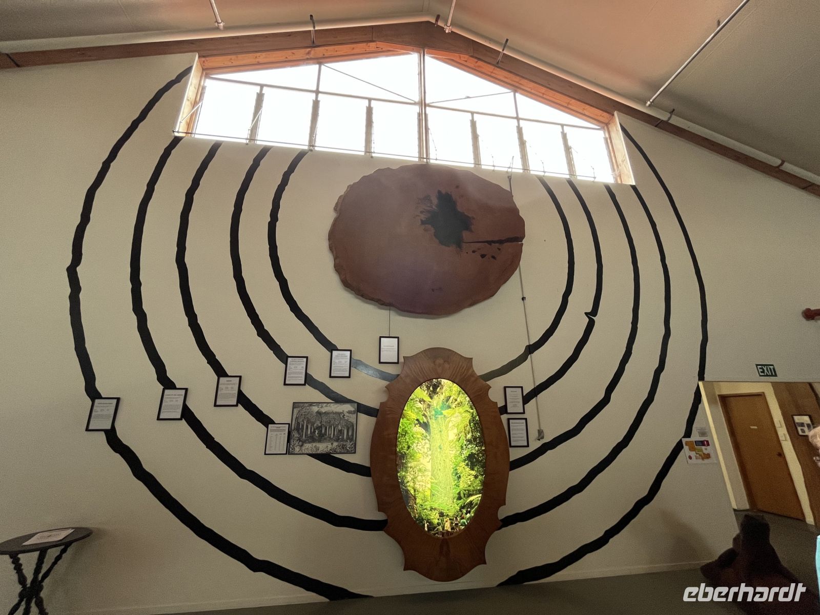 Im Kauri Museum &ndash; &copy; Valentin Meyer-Plath (Eberhardt TRAVEL)