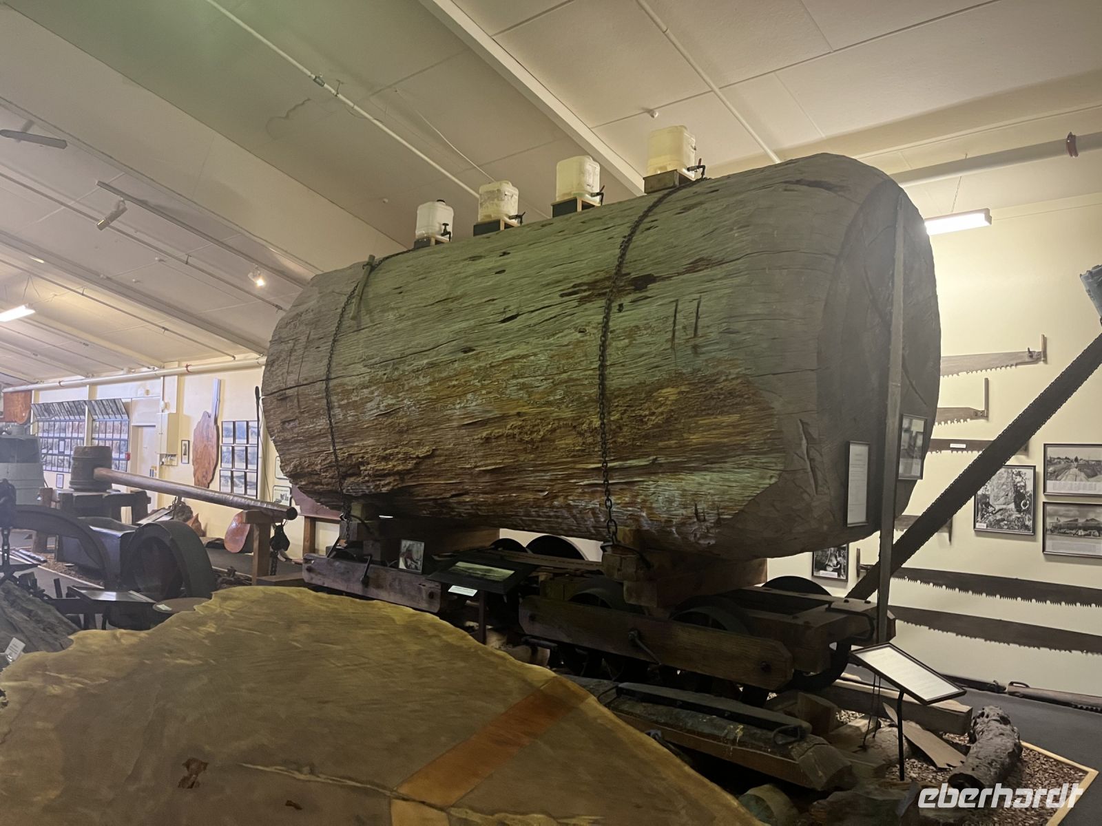 Im Kauri Museum &ndash; &copy; Valentin Meyer-Plath (Eberhardt TRAVEL)