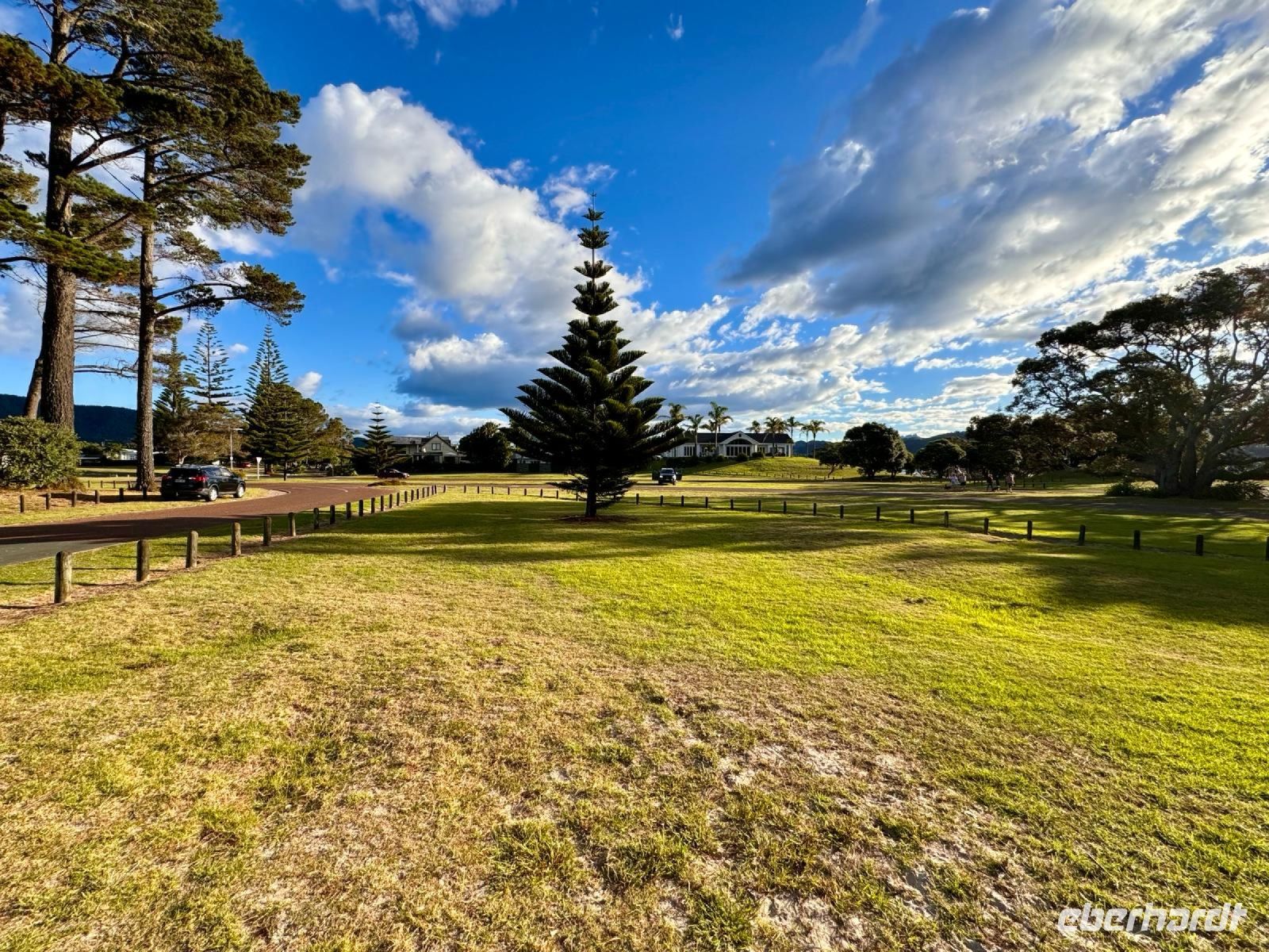 Norfolk Tanne (Missionars Tanne) In Pauanui &ndash; &copy; Valentin Meyer-Plath (Eberhardt TRAVEL)