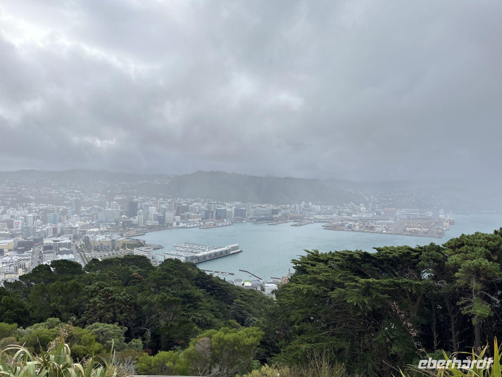 Blick auf das vernebelte Wellington  &ndash; &copy; Valentin Meyer-Plath (Eberhardt TRAVEL)