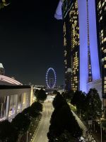 Der Singapur Flyer &ndash; &copy; Valentin Meyer-Plath (Eberhardt TRAVEL)