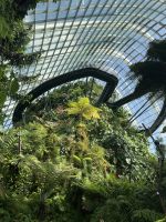 Cloud Forest &ndash; &copy; Valentin Meyer-Plath (Eberhardt TRAVEL)