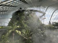 Cloud Forest  &ndash; &copy; Valentin Meyer-Plath (Eberhardt TRAVEL)