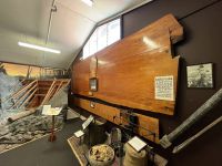 Im Kauri Museum