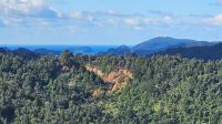 Fotostopp mit Blick auf den Coromandel Forest Park &ndash; &copy; Valentin Meyer-Plath (Eberhardt TRAVEL)