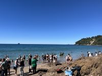Hot Water Beach &ndash; &copy; Valentin Meyer-Plath (Eberhardt TRAVEL)