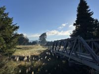 Ohakune