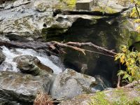 Chasm-Falls