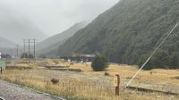 Einfahrt des Tranz Alpine Zugs &ndash; &copy; Valentin Meyer-Plath (Eberhardt TRAVEL)