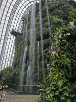Cloud Forest Dome &ndash; &copy; Jürgen Müller (Eberhardt TRAVEL)