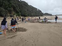 Hot Water Beach &ndash; &copy; Jürgen Müller (Eberhardt TRAVEL)