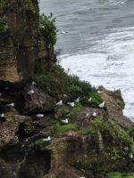 Pancake Rocks &ndash; &copy; Jürgen Müller (Eberhardt TRAVEL)