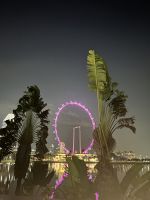 Singapore Flyer &ndash; &copy; Andy Nguyen (Eberhardt TRAVEL)