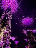 Gardens by the Bay &ndash; &copy; Andy Nguyen (Eberhardt TRAVEL)