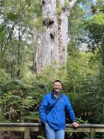 2. größter Kauri &ndash; &copy; Andy Nguyen (Eberhardt TRAVEL)