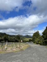 Straße Neuseeland &ndash; &copy; Andy Nguyen (Eberhardt TRAVEL)