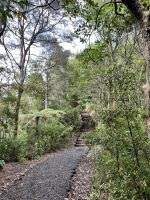 Bushwalk &ndash; &copy; Andy Nguyen (Eberhardt TRAVEL)