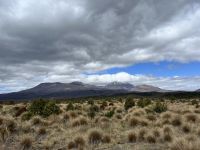 Whakapapa &ndash; &copy; Andy Nguyen (Eberhardt TRAVEL)