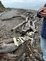 Kapiti Island &ndash; &copy; Andy Nguyen (Eberhardt TRAVEL)