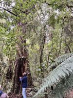 Bush Walk &ndash; &copy; Andy Nguyen (Eberhardt TRAVEL)