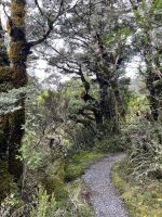 Nature Walk &ndash; &copy; Andy Nguyen (Eberhardt TRAVEL)
