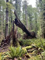 Kepler Track &ndash; &copy; Andy Nguyen (Eberhardt TRAVEL)
