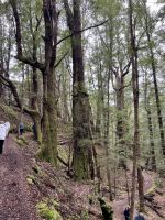 Kepler Track &ndash; &copy; Andy Nguyen (Eberhardt TRAVEL)