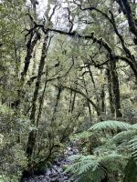 Chasm Walk &ndash; &copy; Andy Nguyen (Eberhardt TRAVEL)