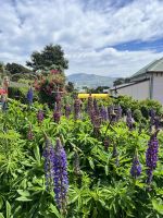 The Giants House &ndash; &copy; Andy Nguyen (Eberhardt TRAVEL)