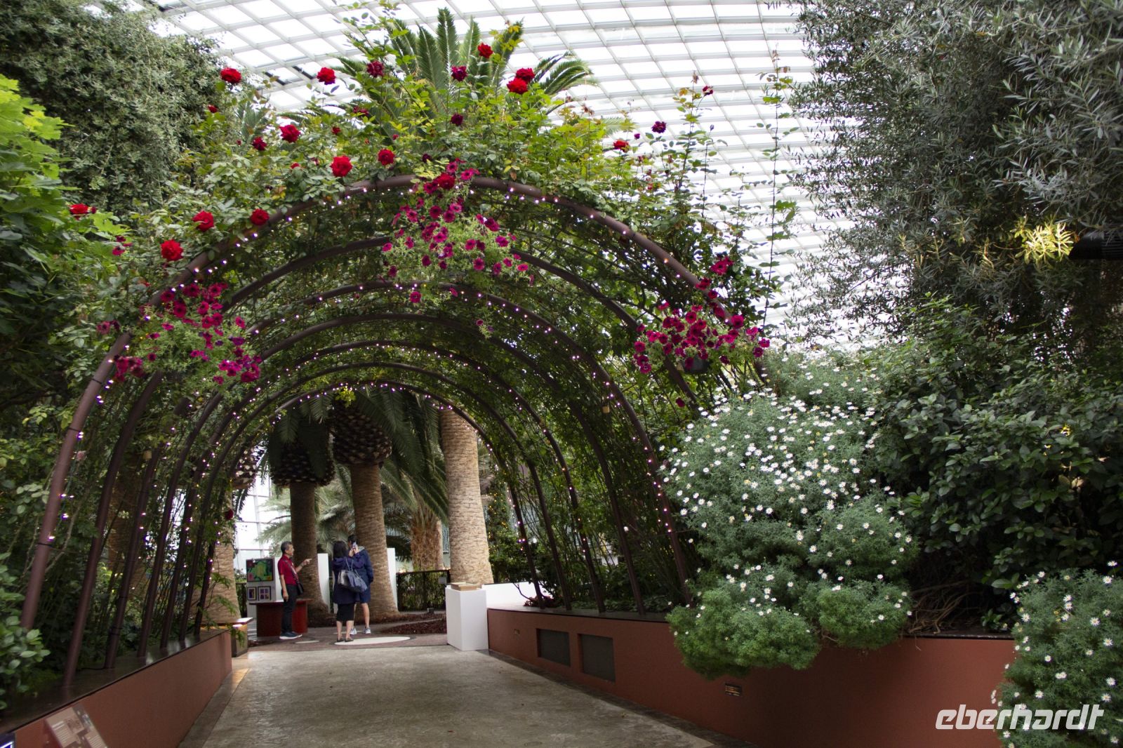 012 - Singapur, Gardens by the Bay &ndash; &copy; Vivien Fiedler (Eberhardt TRAVEL)