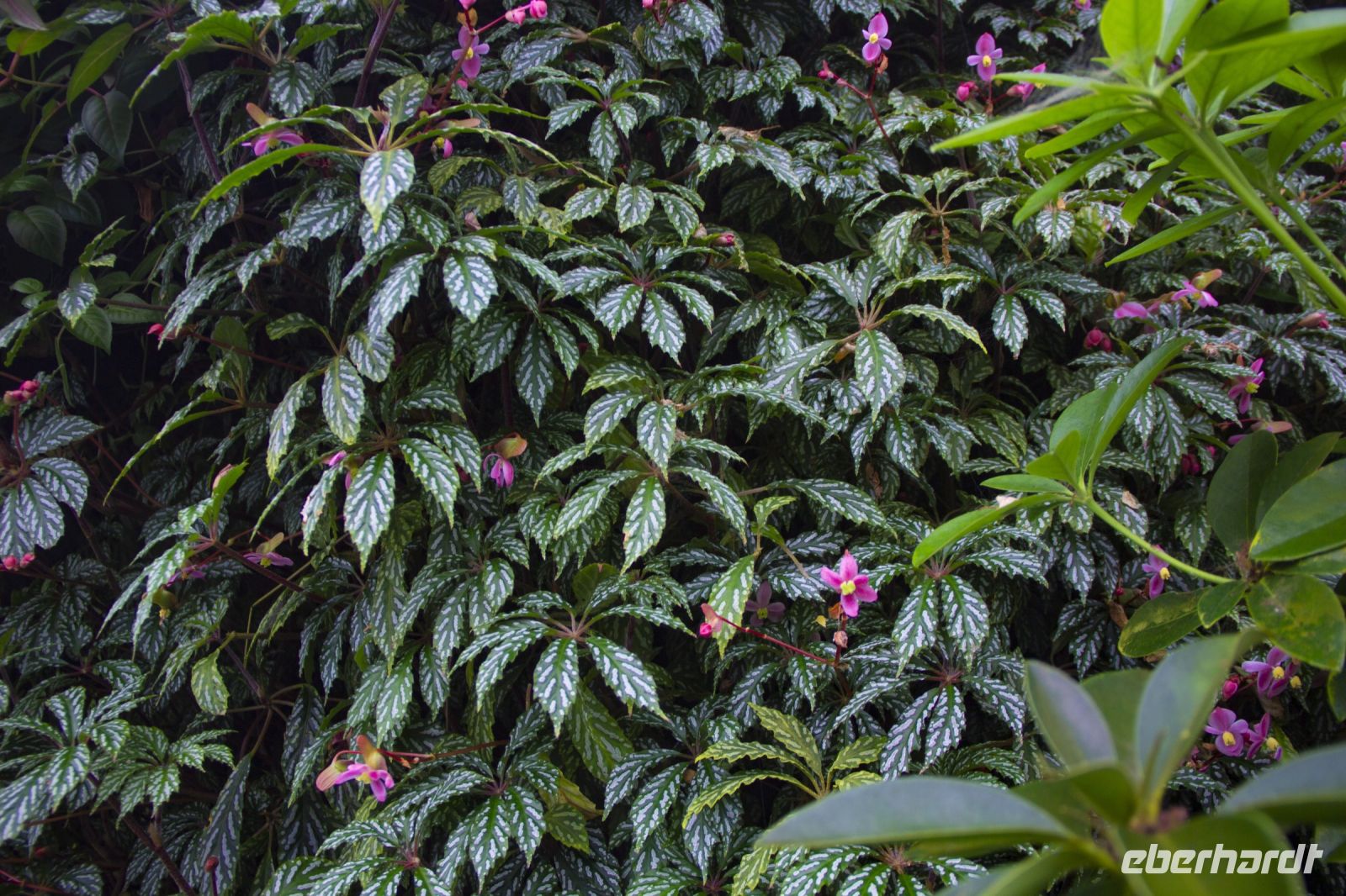 030 - Singapur, Gardens by the Bay &ndash; &copy; Vivien Fiedler (Eberhardt TRAVEL)