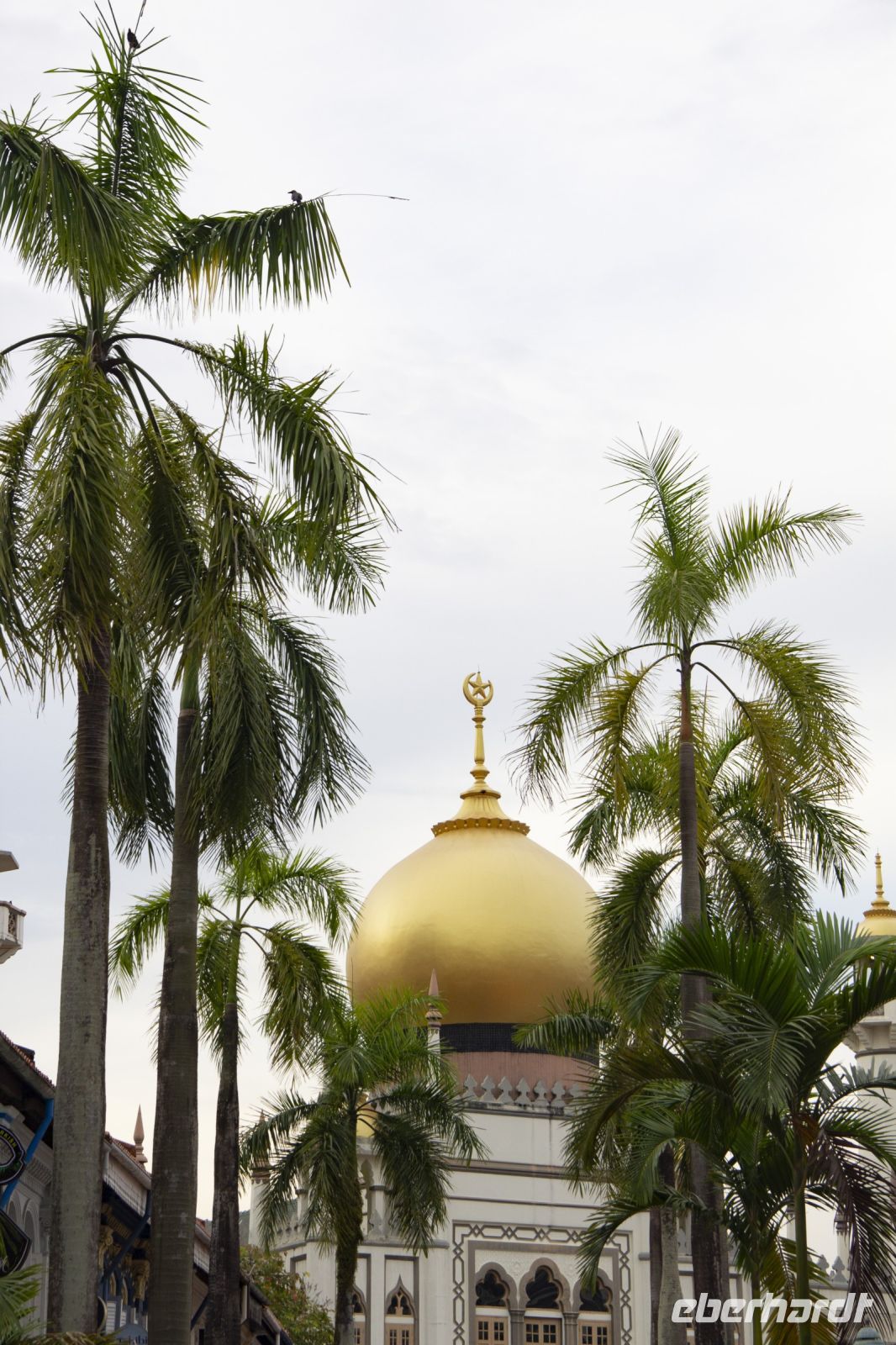 072 - Singapur &ndash; &copy; Vivien Fiedler (Eberhardt TRAVEL)