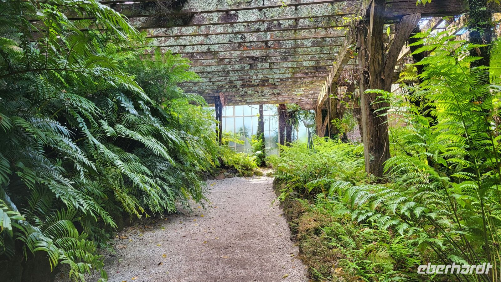 080 - Auckland &ndash; &copy; Vivien Fiedler (Eberhardt TRAVEL)