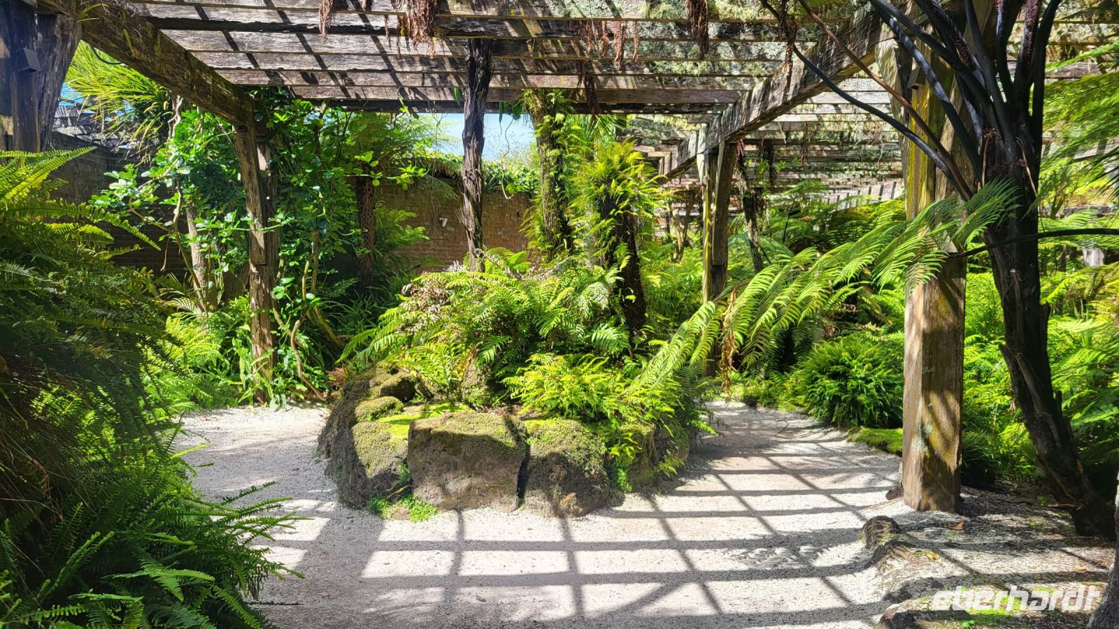 081 - Auckland &ndash; &copy; Vivien Fiedler (Eberhardt TRAVEL)